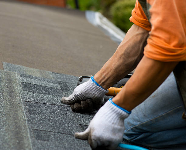 Best Storm Damage Roof Repair  in Marine City, MI
