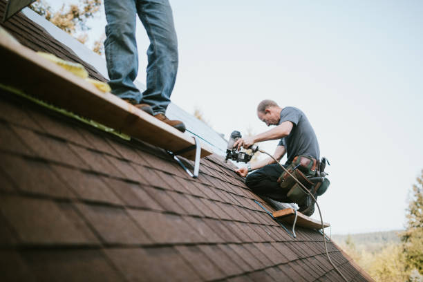Best Flat Roof Repair Services  in Marine City, MI